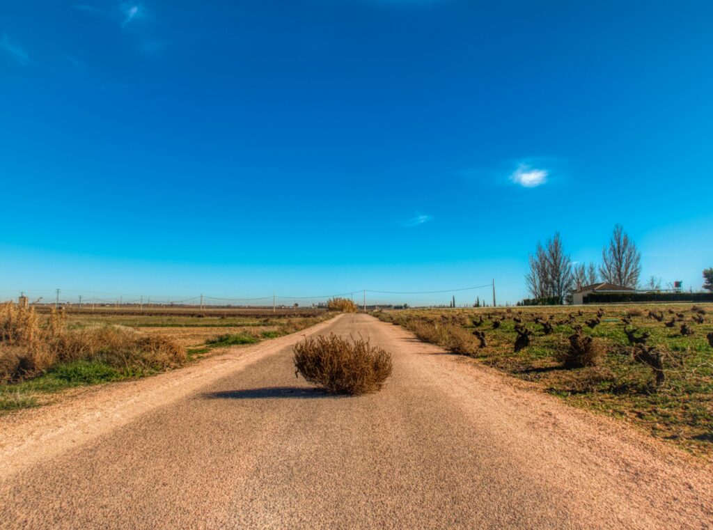 A tumbleweed blows across a dirt road framed by scrub on both sides with a bright blue sky in the background